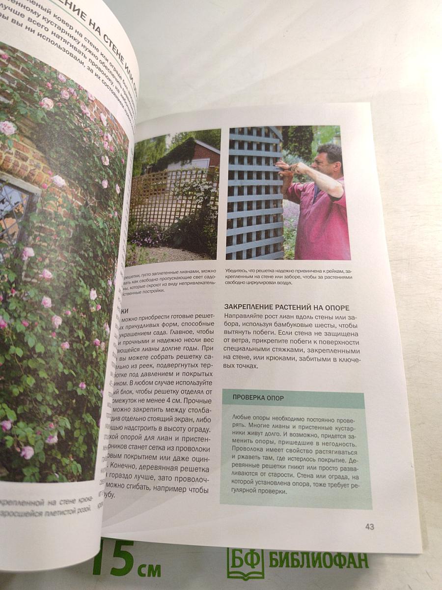 Декоративные растения: иллюстрированный справочник