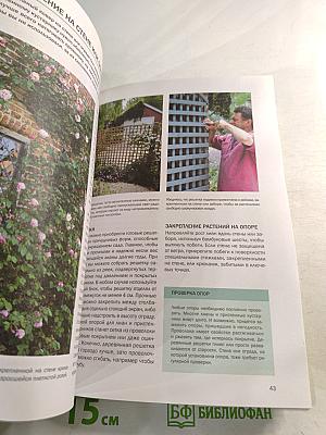 Декоративные растения: иллюстрированный справочник