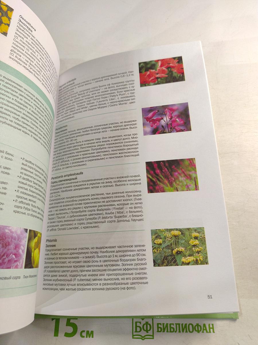 Многолетники