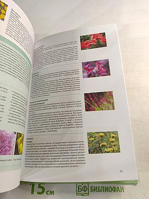 Многолетники