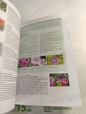 Многолетники