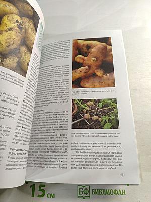 Овощи: Иллюстрированный справочник