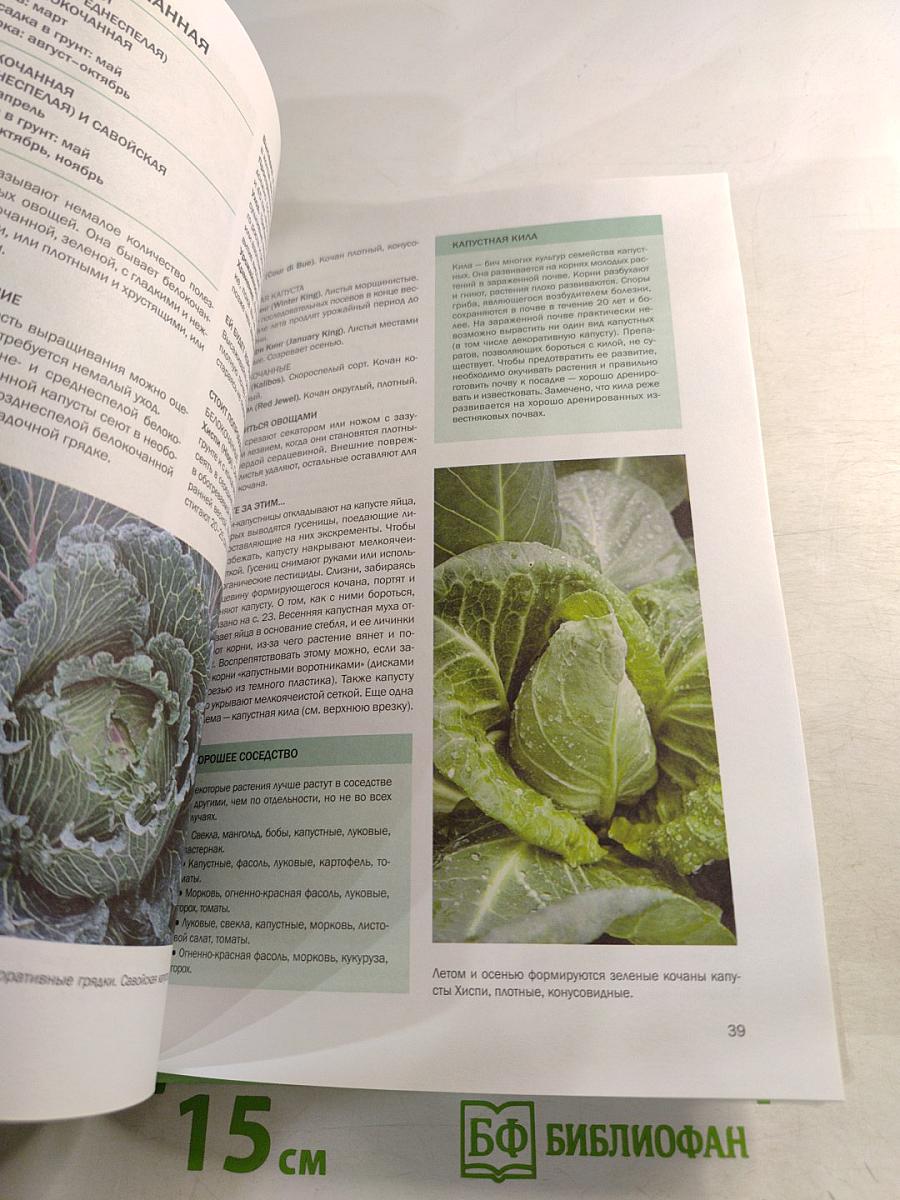 Овощи: Иллюстрированный справочник