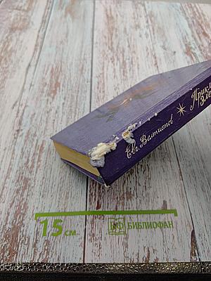 Приключения Электроника