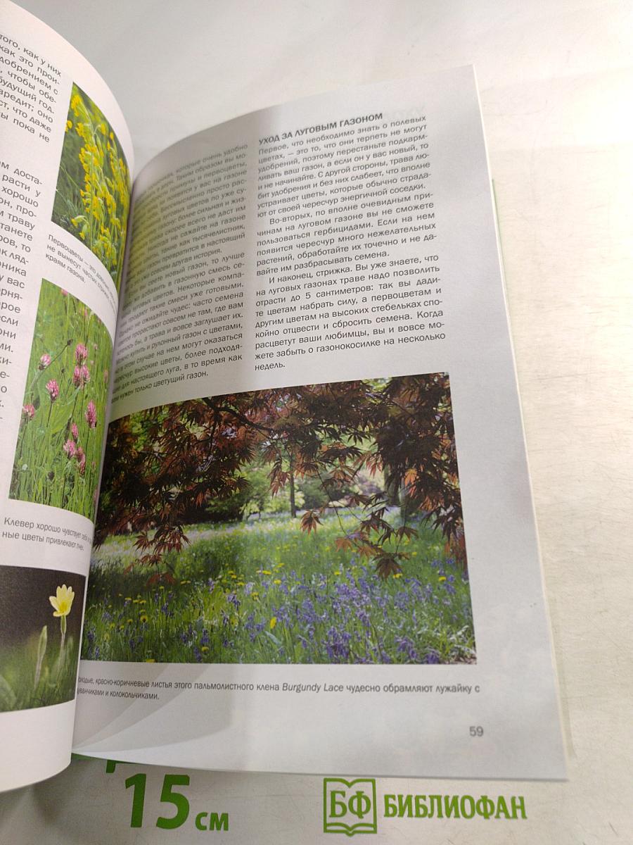 Газоны и лужайки