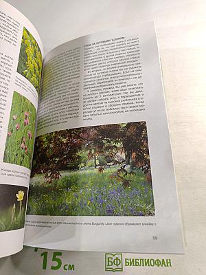 Газоны и лужайки