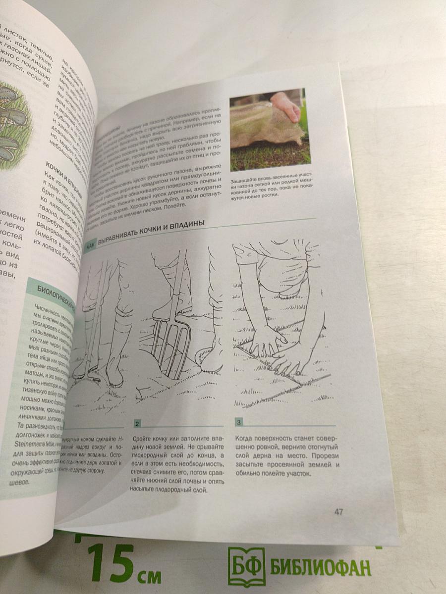 Газоны и лужайки