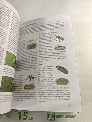 Газоны и лужайки