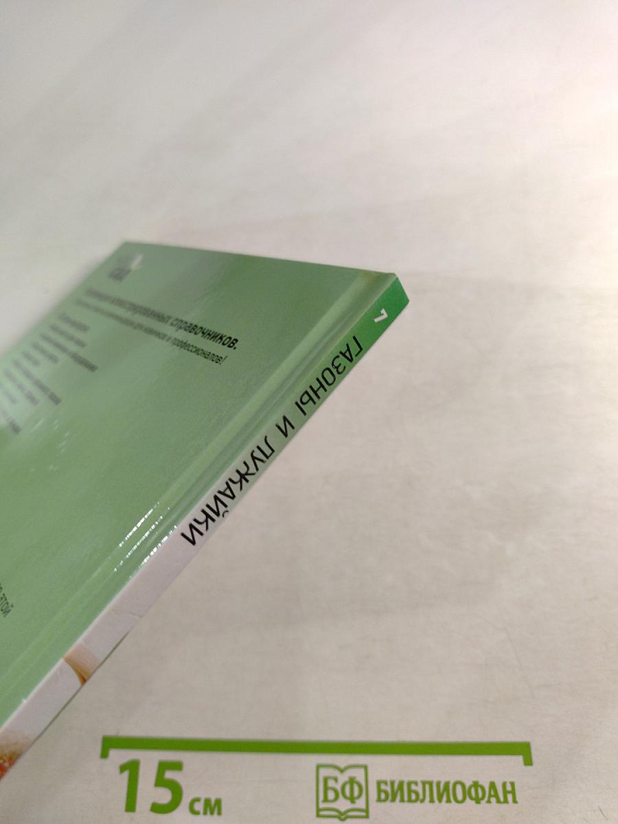 Газоны и лужайки