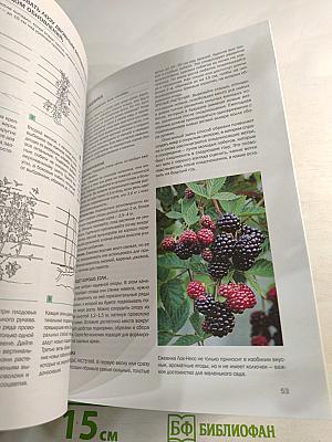 Ягоды: иллюстрированный справочник