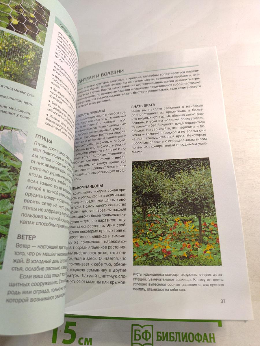 Ягоды: иллюстрированный справочник