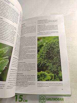 Зелень. Иллюстрированный справочник