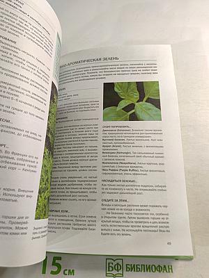 Зелень. Иллюстрированный справочник