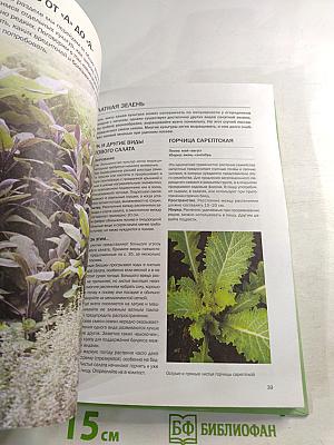 Зелень. Иллюстрированный справочник