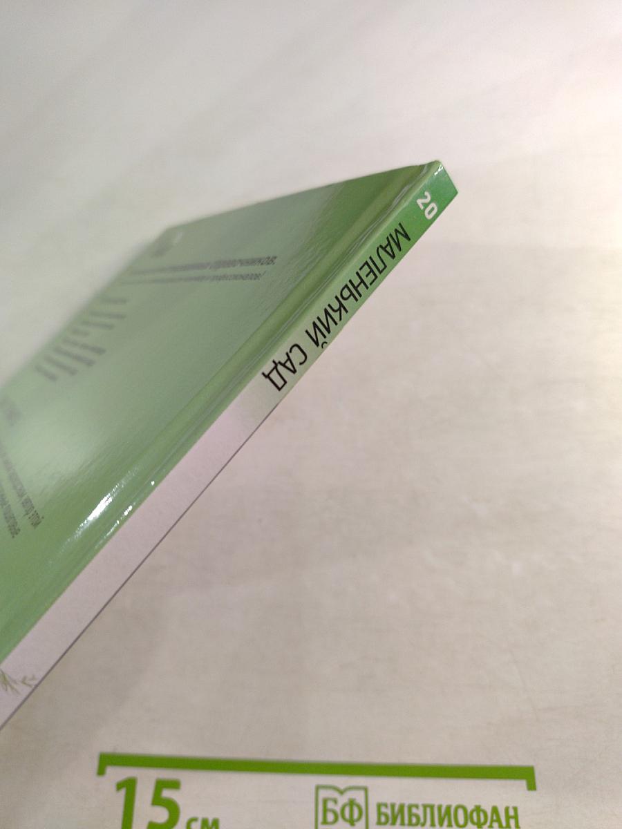 Маленький сад. Иллюстрированный справочник