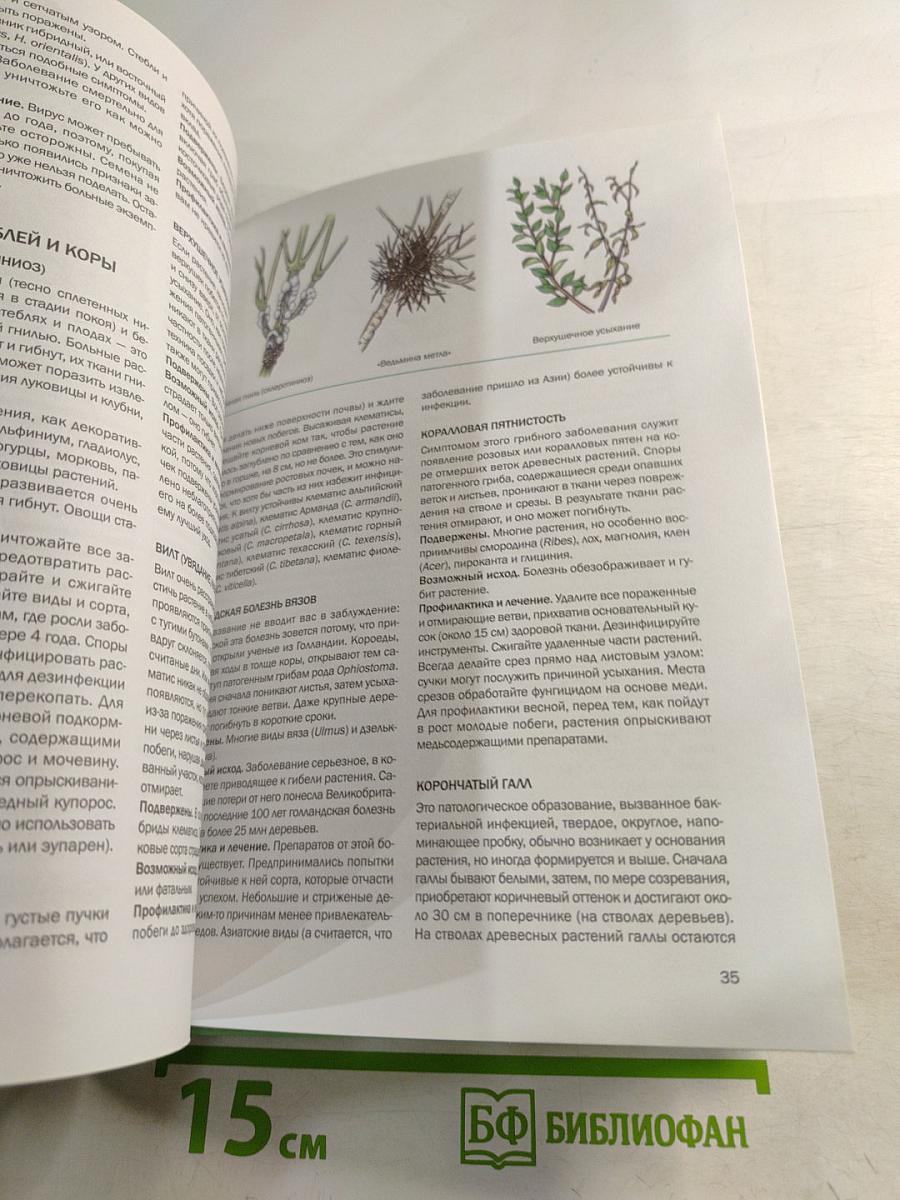 Болезни растений. Иллюстрированный справочник