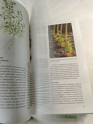 Садовые вредители: Иллюстрированный справочник