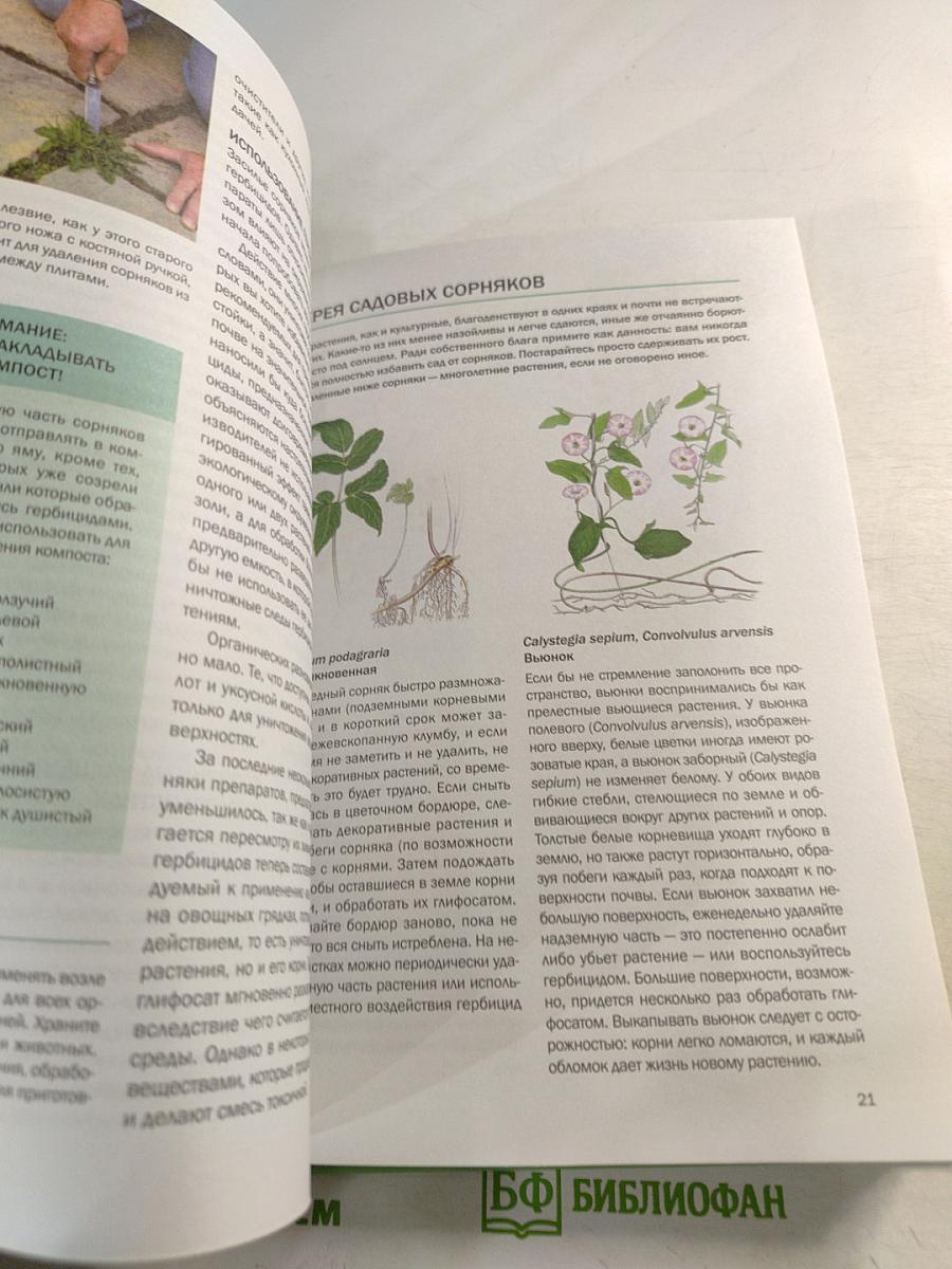 Садовые вредители: Иллюстрированный справочник