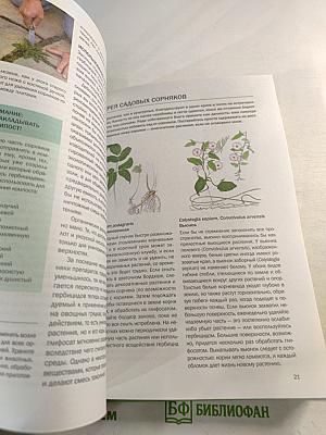 Садовые вредители: Иллюстрированный справочник