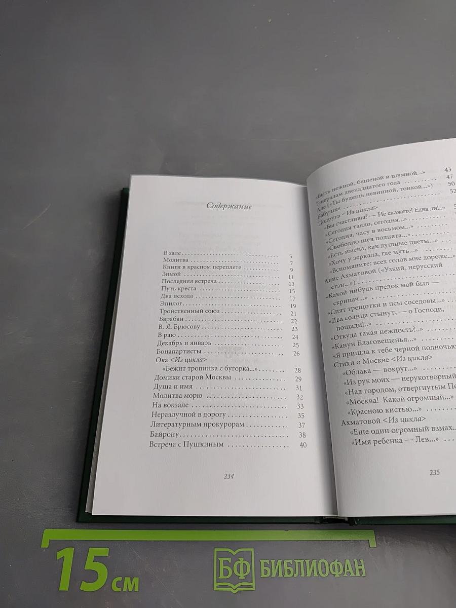 Марина Цветаева. Душа и имя