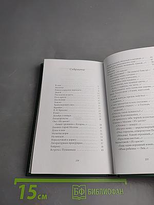 Марина Цветаева. Душа и имя