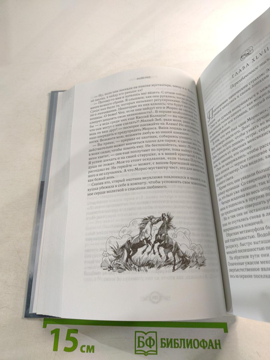 Всадник без головы