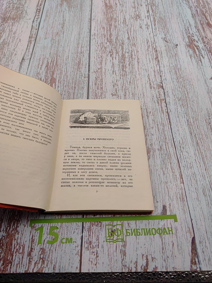 Воспоминания о камне