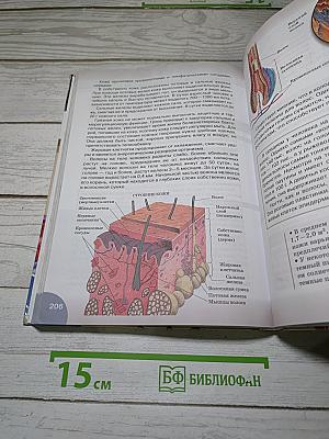 Биология. Человек. 8 класс