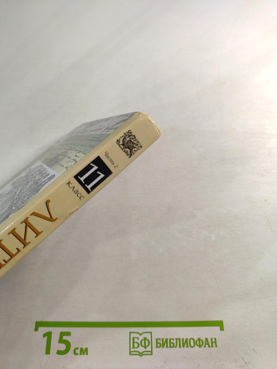 Литература 11 класс Часть вторая