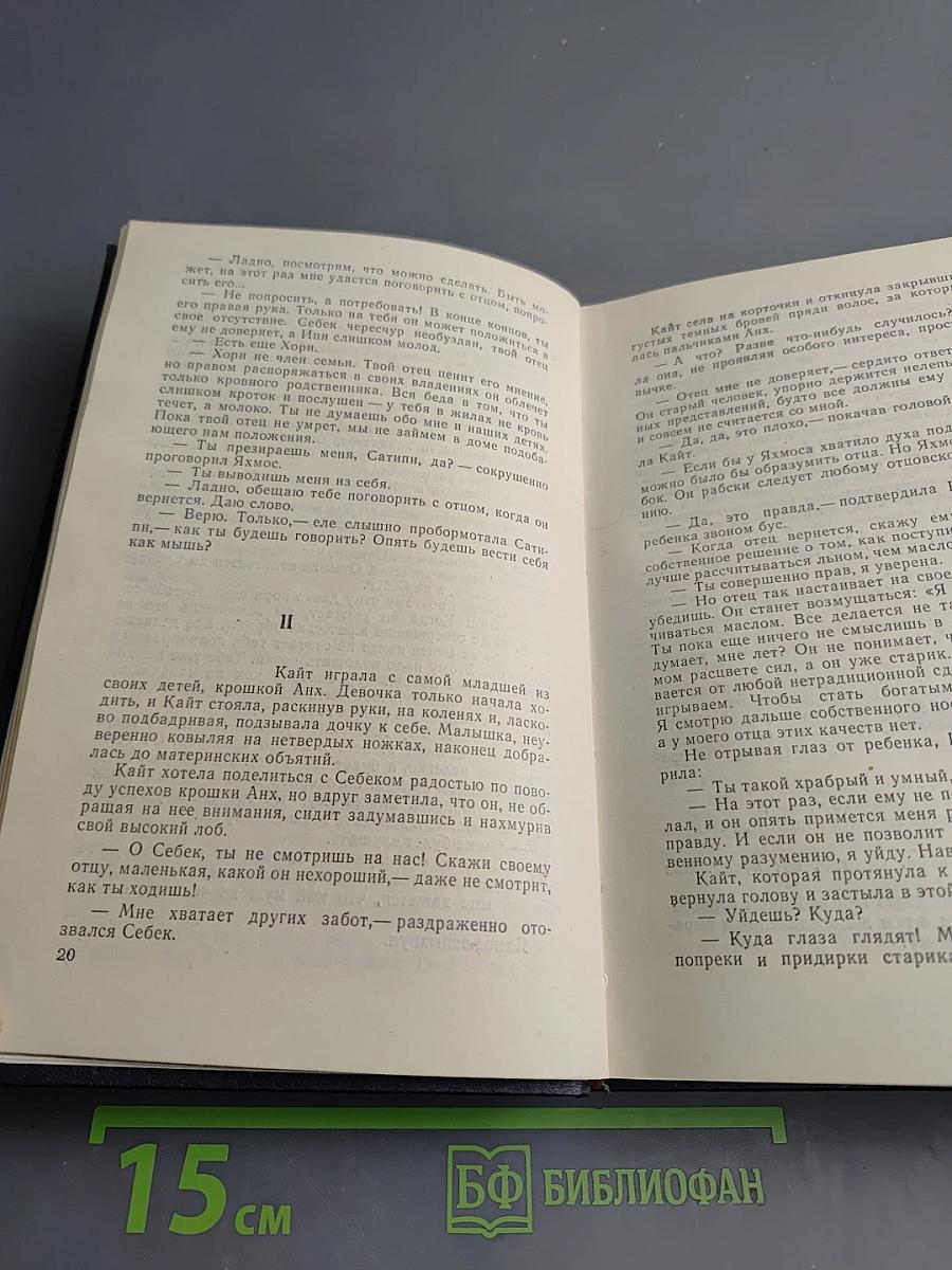 Смерть приходит в конце. Миссис Макгинти с жизнью рассталась...