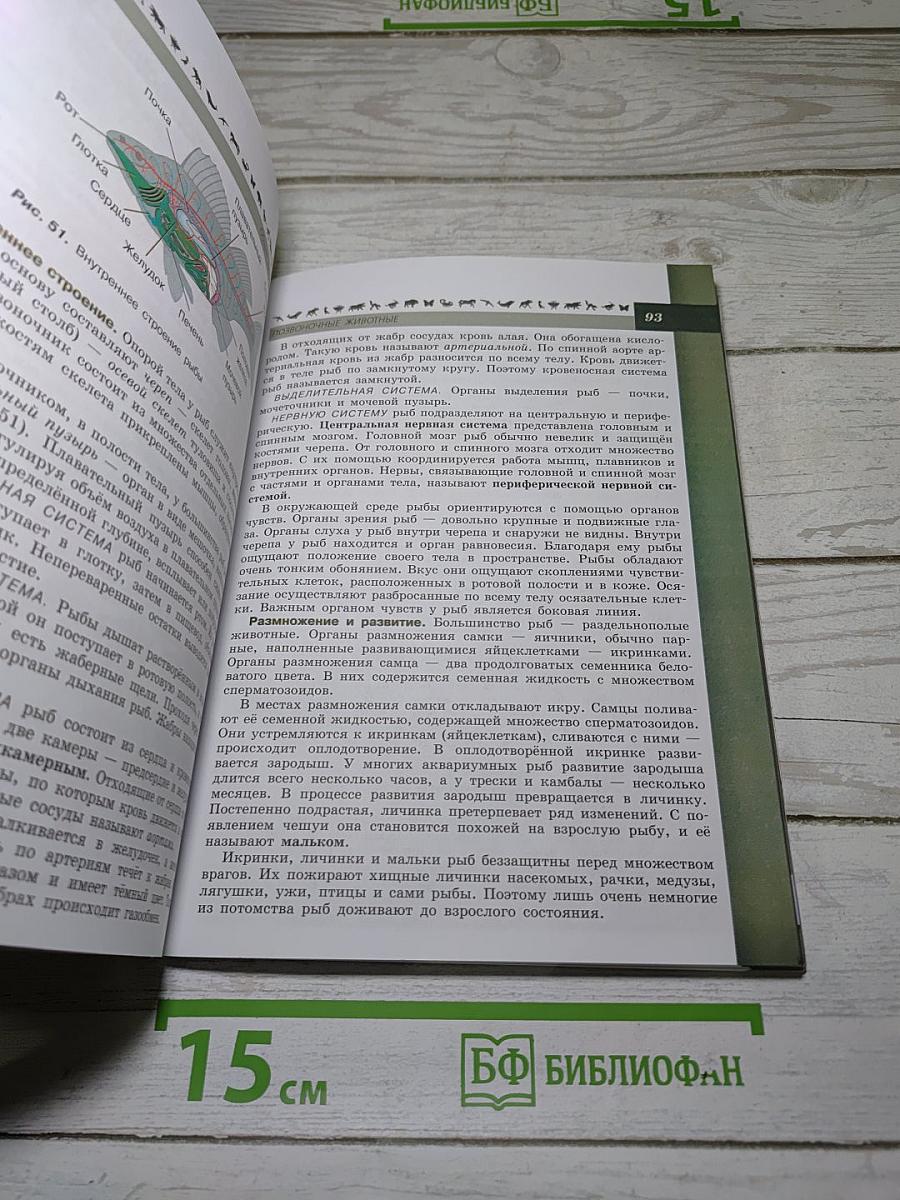 Биология 7 класс