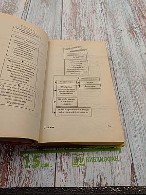 Постатейный комментарий к Закону Российской Федерации 'О милиции' (Новая редакция)