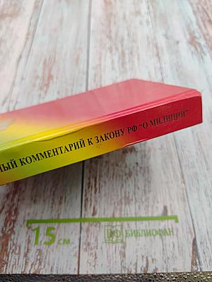 Постатейный комментарий к Закону Российской Федерации 'О милиции' (Новая редакция)