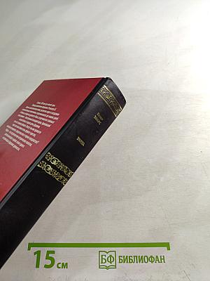 Уарда. Любовь принцессы