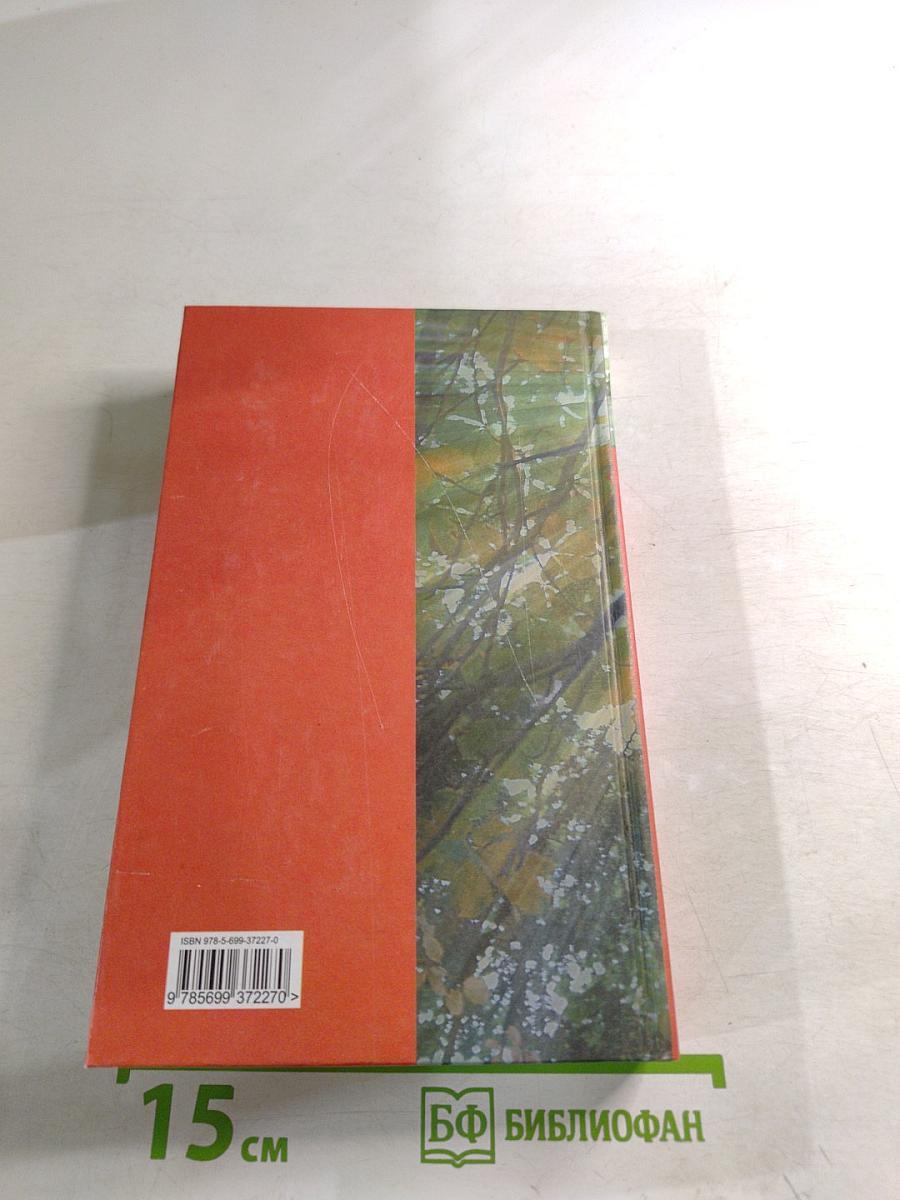 На солнечной стороне улицы