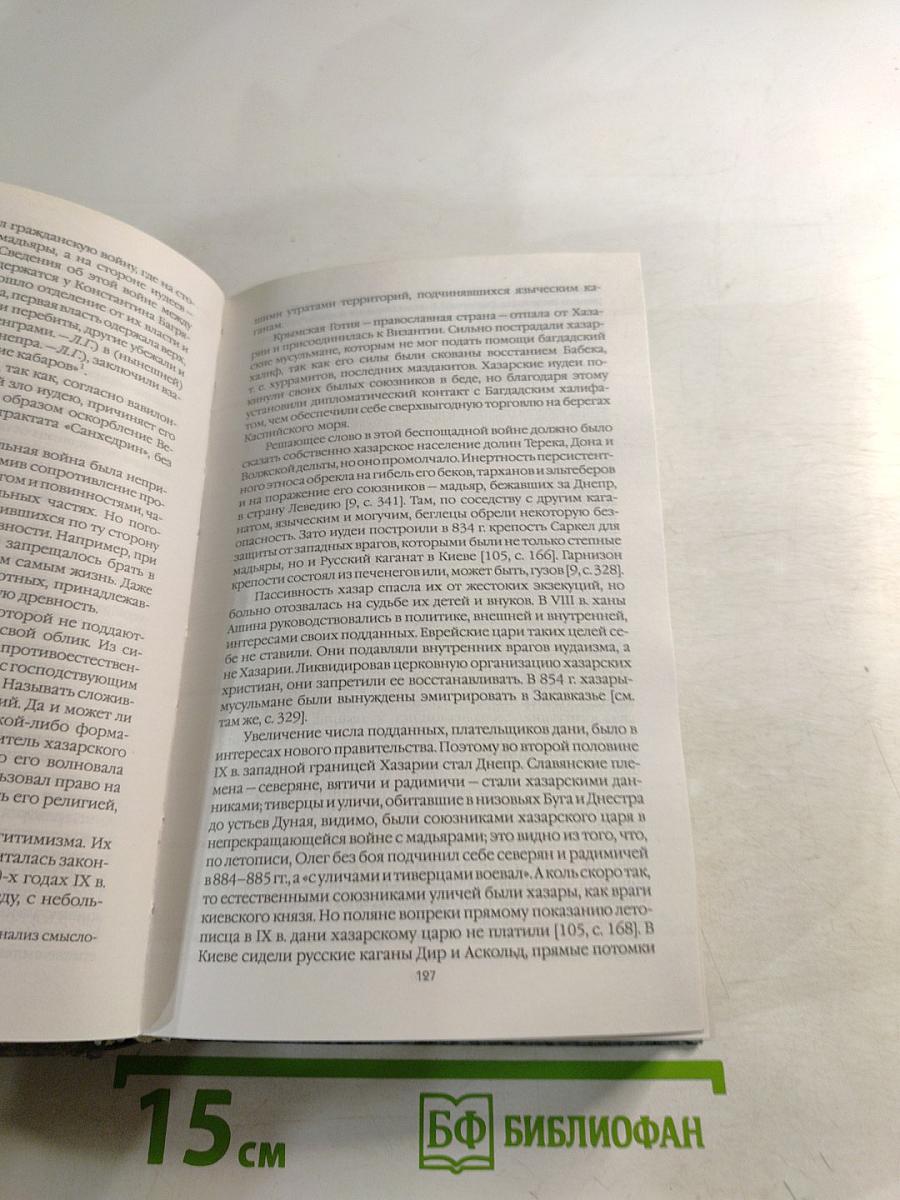 Древняя Русь и Великая Степь