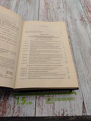 Комментарий к Уголовно-исполнительному кодексу Российской Федерации