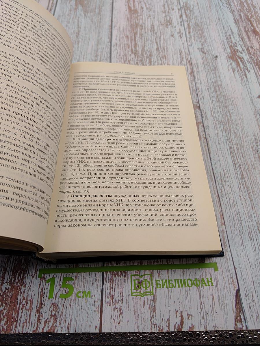 Комментарий к Уголовно-исполнительному кодексу Российской Федерации