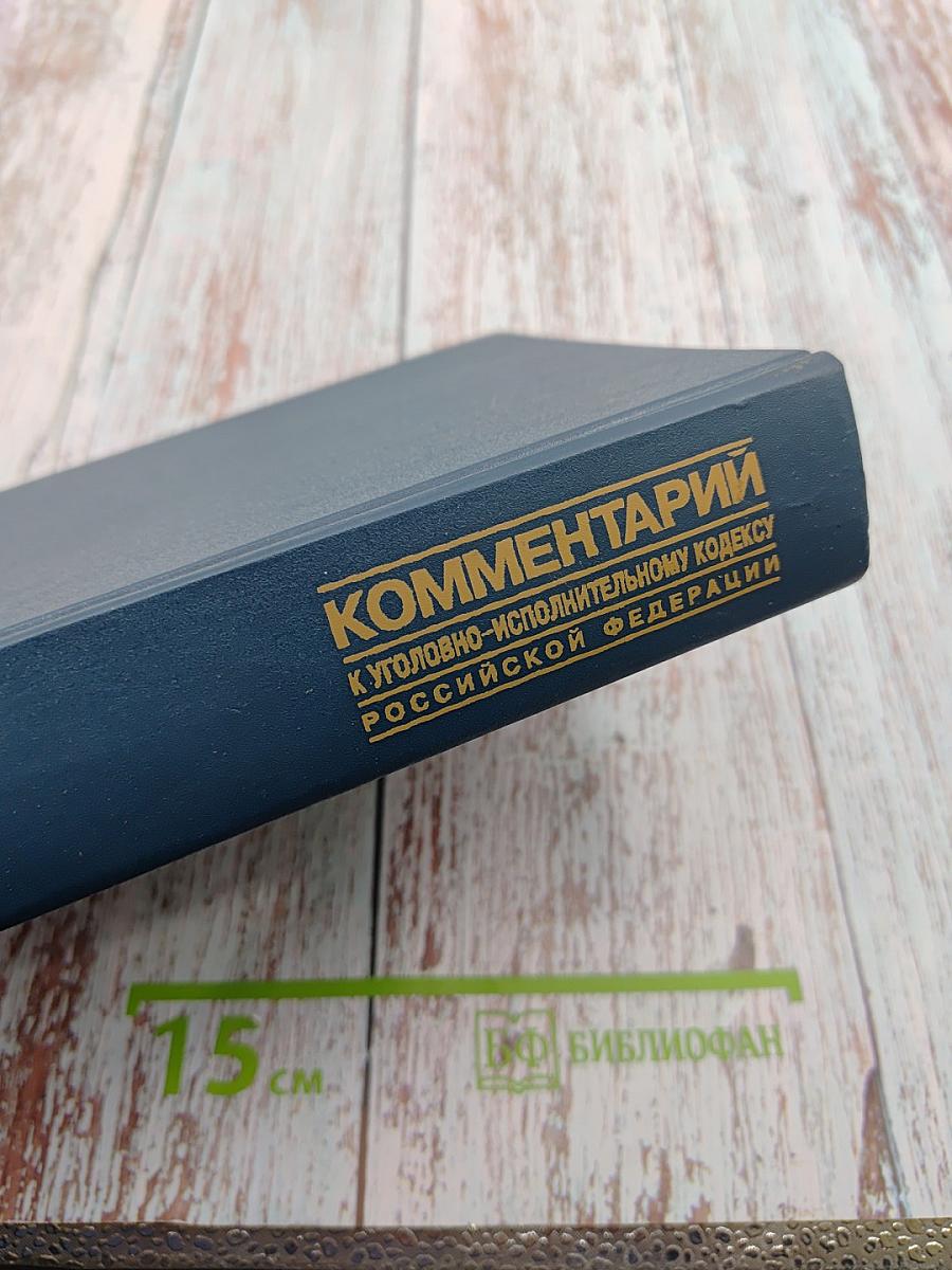 Комментарий к Уголовно-исполнительному кодексу Российской Федерации