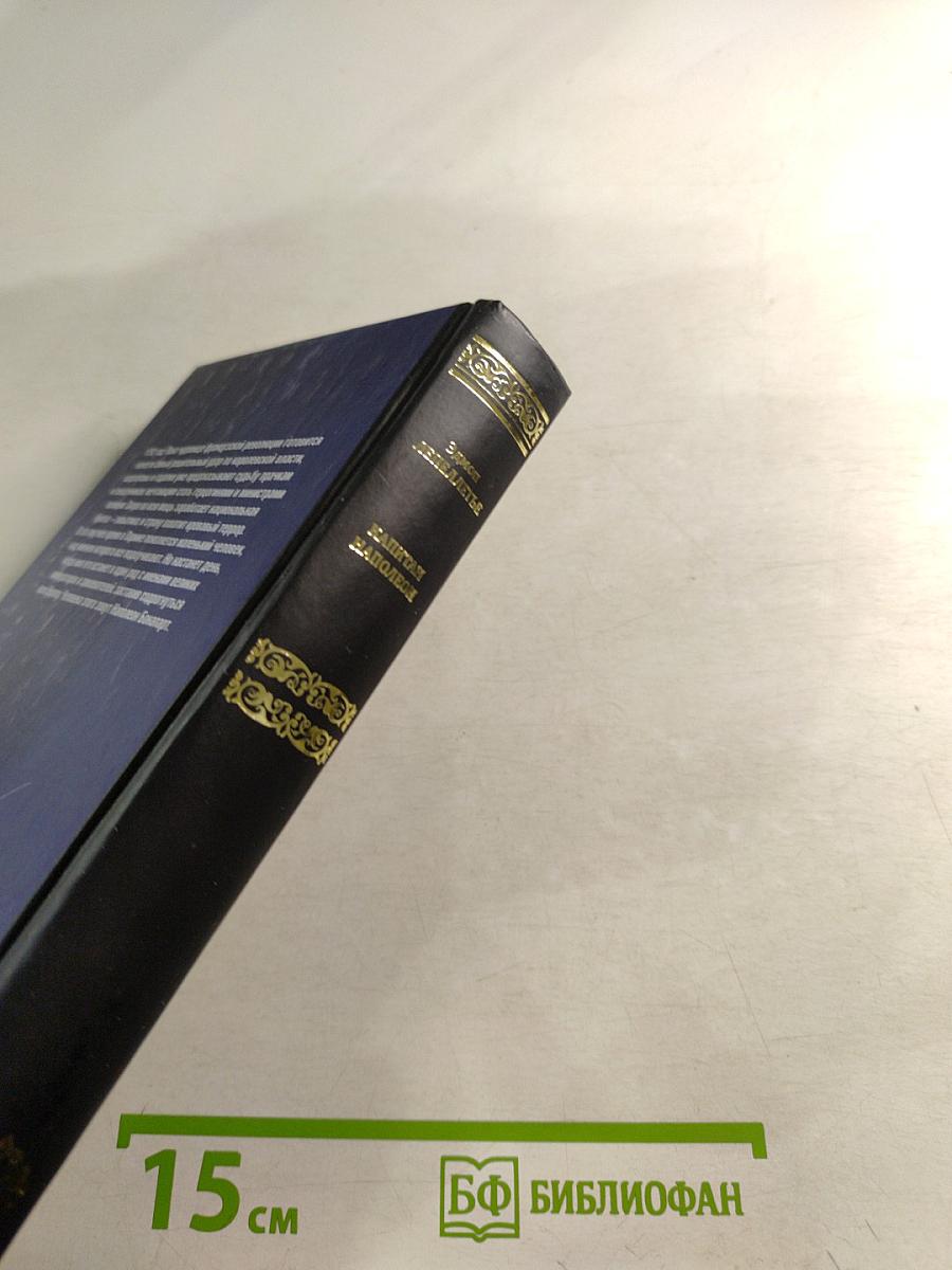 Капитан Наполеон