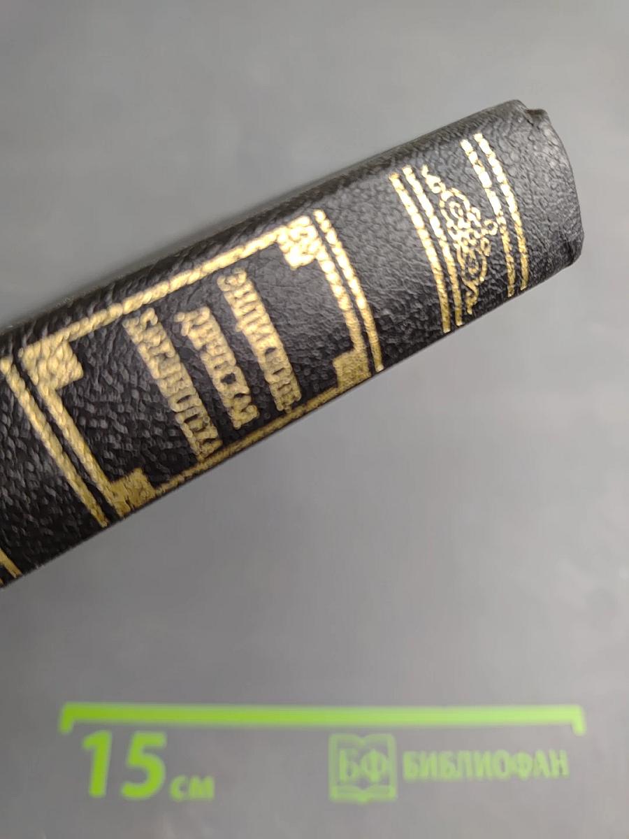 Искусство Западной Европы. Германия. Нидерланды