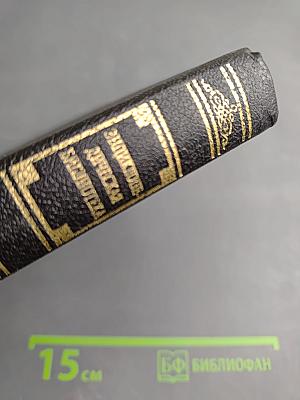 Искусство Западной Европы. Германия. Нидерланды