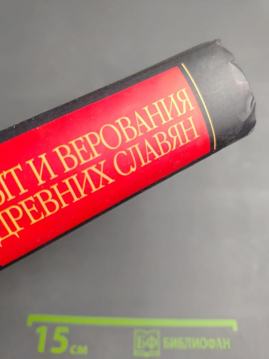 Быт и верования древних славян