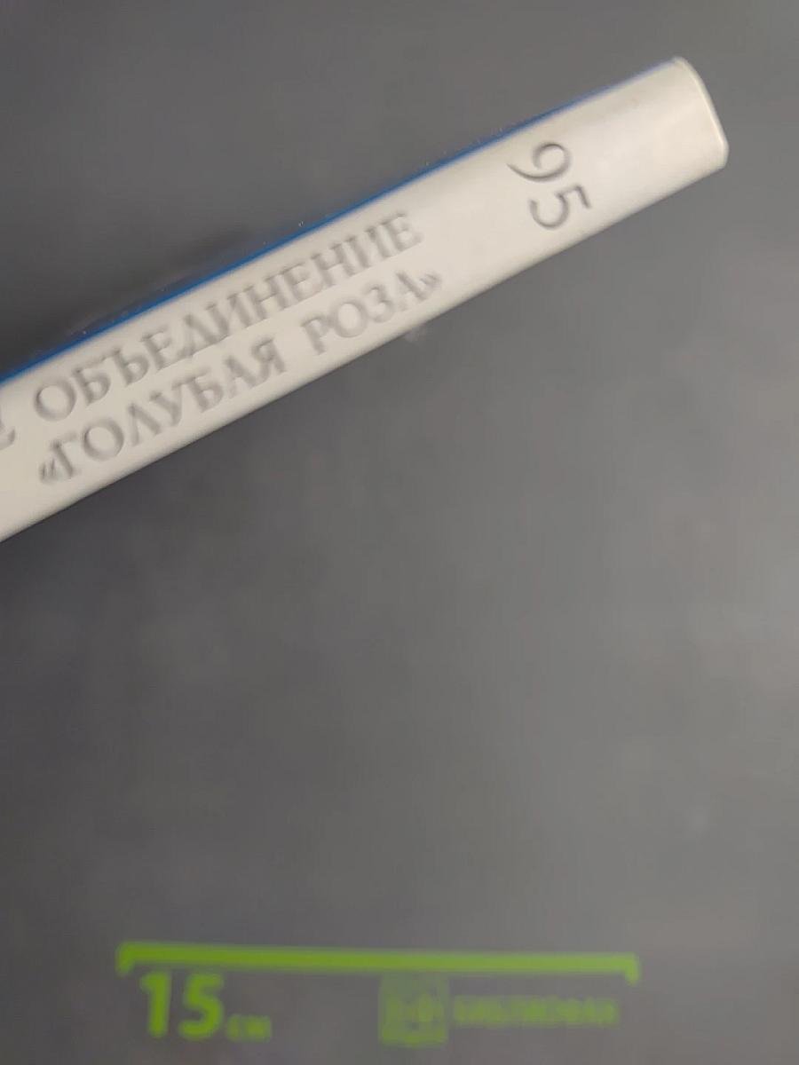 Великие художники. Художественное объединение «Голубая роза». Том 95