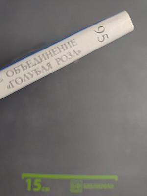 Великие художники. Художественное объединение «Голубая роза». Том 95