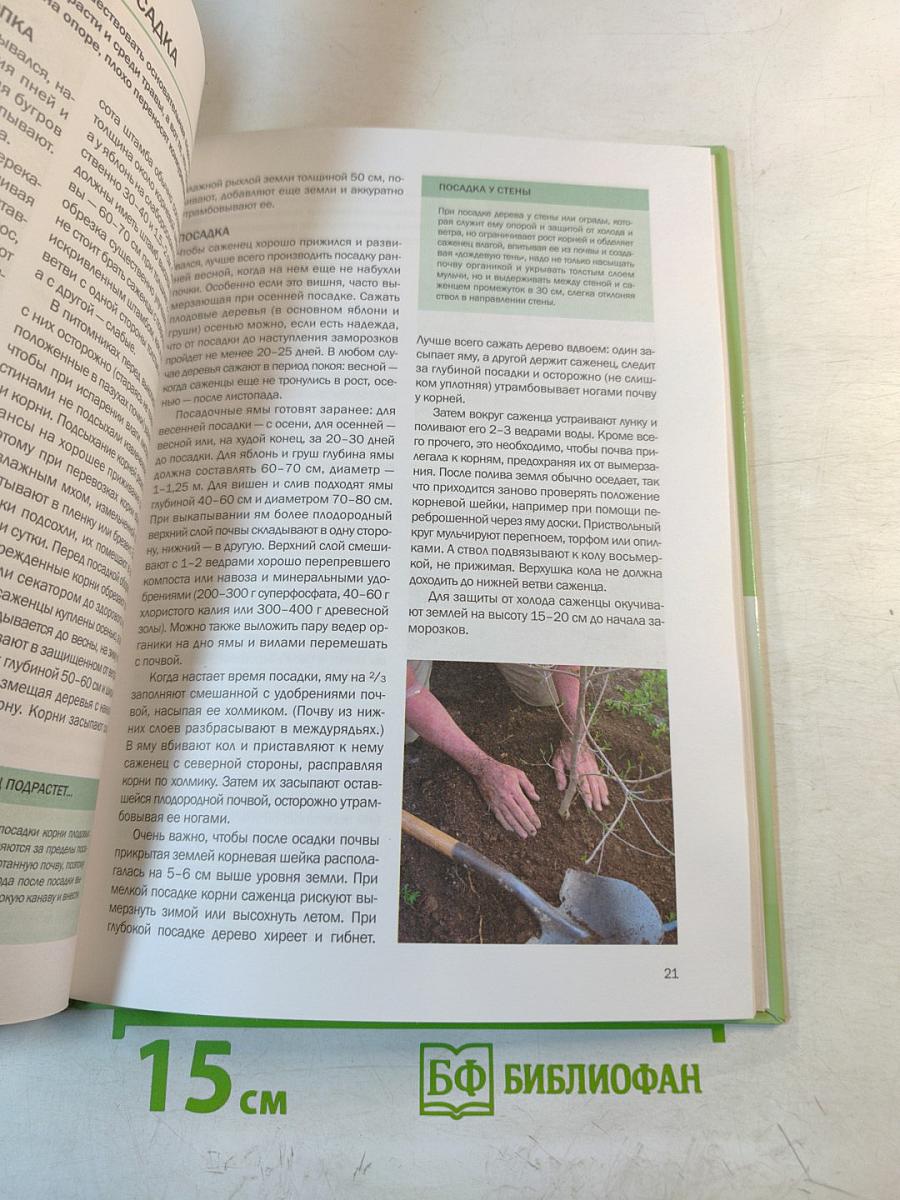 Фруктовый сад. Иллюстрированный справочник