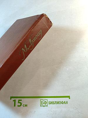 Собрание сочинений. Том 1: Железный король; Узница Шато-Гайара