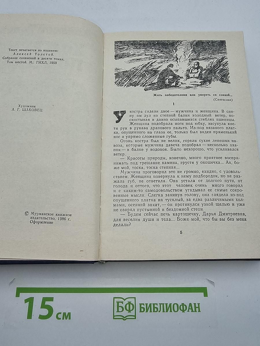 Хождение по мукам. Трилогия. Книга третья. Хмурое утро