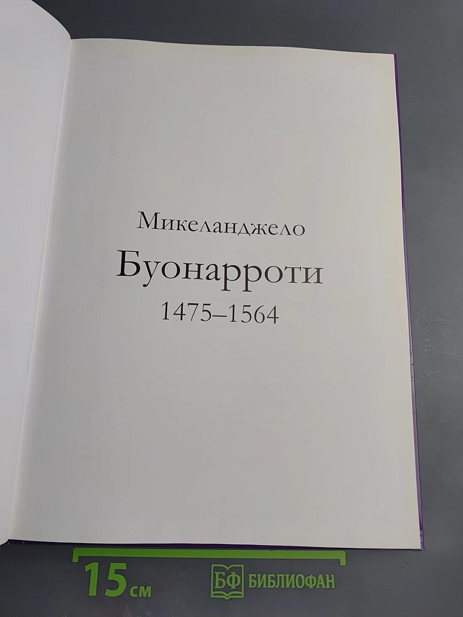 Микеланджело Буонарроти. Том 38