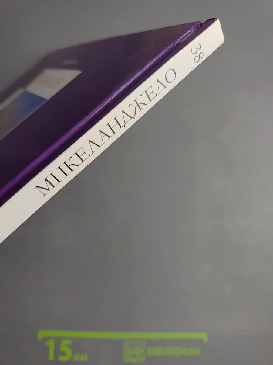 Микеланджело Буонарроти. Том 38